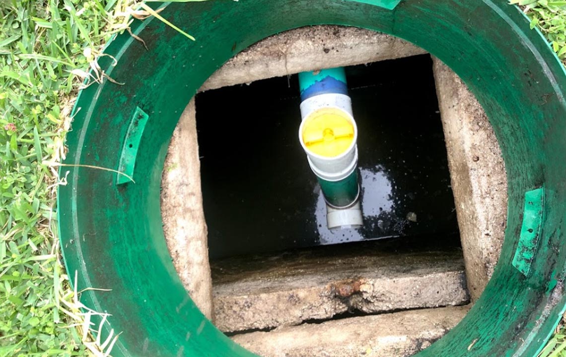 how can I increase bacteria in my septic tank naturally?