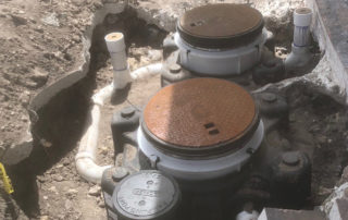 can pet waste affect septic tank health?