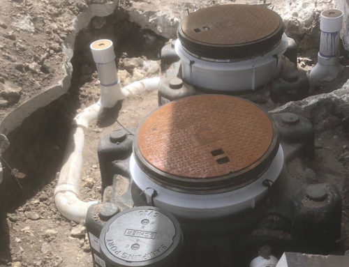 Can Pet Waste Affect Septic Tank Health?