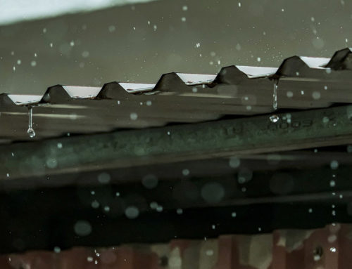 How Roof Runoff Impacts Drain Fields