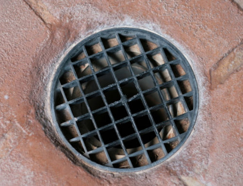 Preventing Odors From Floor Drains in Commercial Kitchens