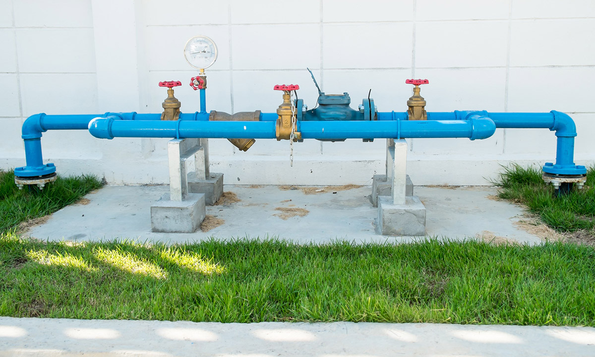 backflow device