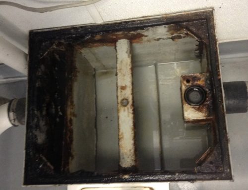 Why Do Grease Traps Smell? Causes, Solutions, and Prevention Tips